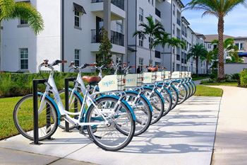 A row of bikes parked in front of an apartment building